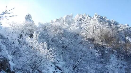 15795779299220419771.jpg 11.jpg